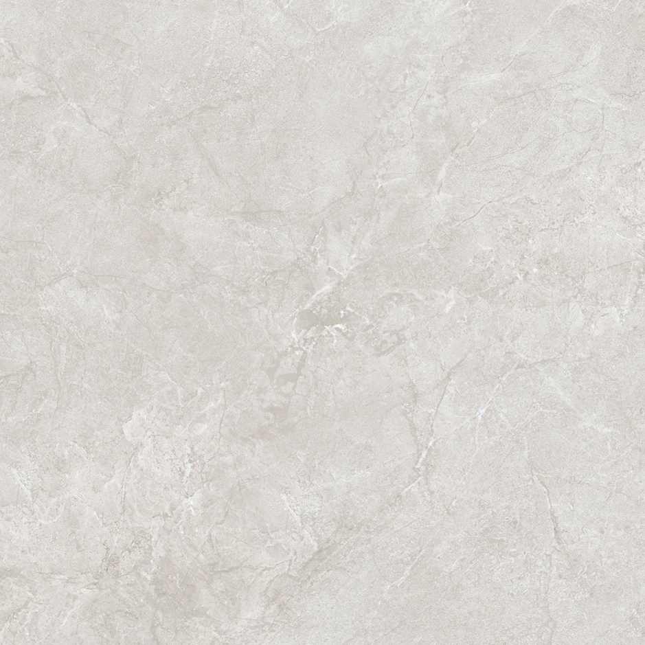 DT81009A 伯尼斯灰